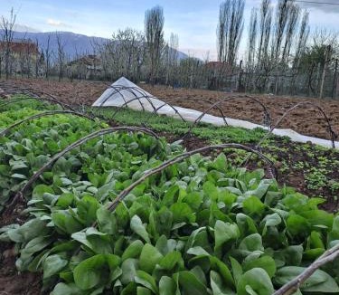 Korce House | Holidayhome with 100% bio food