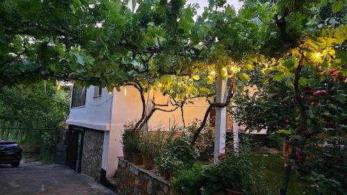 Korce House | Holidayhome with 100% bio food