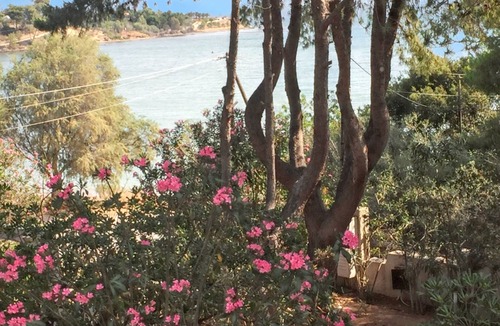 Chalcis Apartment | Homerez - Spacious Apartment in Anthidona, Sea View