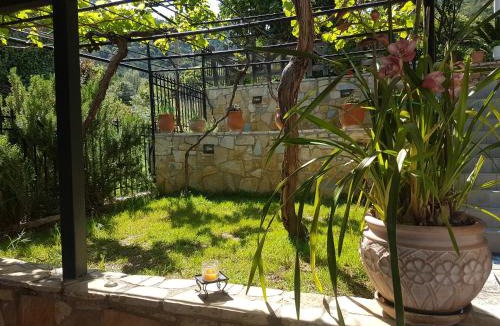Sipiada Apartment | HoneyHouse