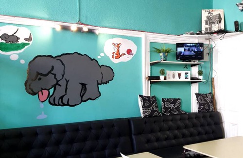 Glasgow Westend Hostel | Hostel ∙ 4 guests