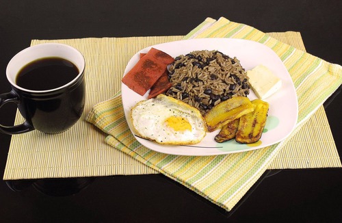 Amon Hotel | Hotel CR Lounge by Little Havana