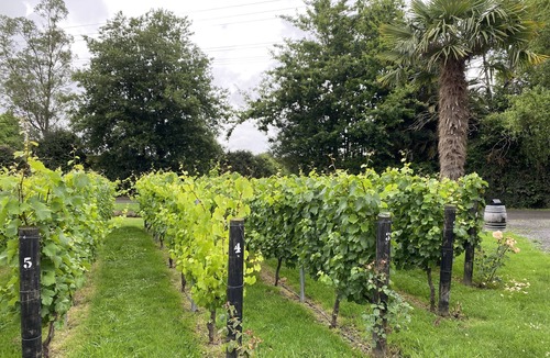 Parkvale House | House on orchard - 5 mins to Havelock North