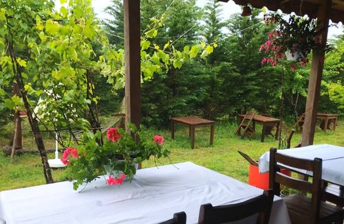 Sile House | House with Backyard and Winter Garden in Agva