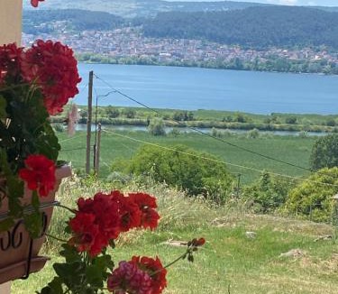 Amfithea Apartment | House with View in Amfithea