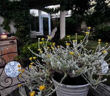 Serrastretta Apartment | Il giardino di Chiara 1 Rifugio per anime stanche