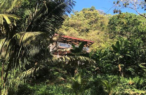 Cedros Villa | Jungle Villa copa de árbol, oceanview, infinity