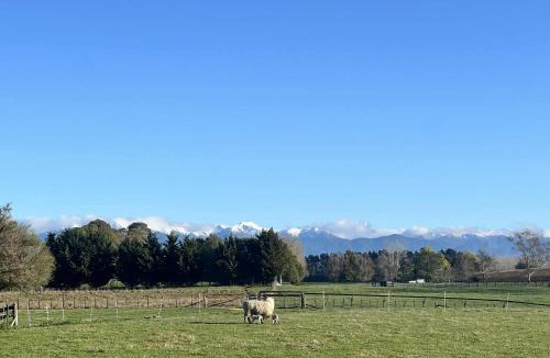 Solway Other | Kay Bell