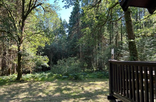 Taynuilt Cabin | KINGLAS is a charming cabin in a lovely, peaceful location deep in the forest