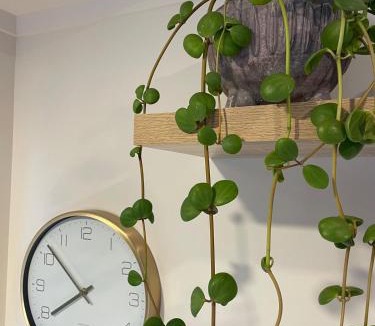 Tutukaka Apartment | Lighthouse Apartment - Tūtūkākā