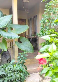 Gili Trawangan House | Little Elephant Cottage