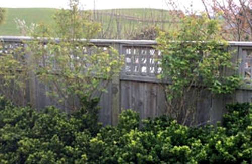 Moeraki Cabin | Lodge ∙ 1 bedroom ∙ 5 guests