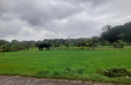 Batukliang Villa | Lombok Happy