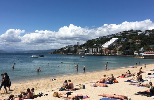 Oriental Bay Apartment | Lux Waterfront in Oriental Bay