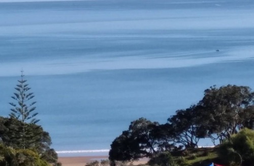 Coopers Beach Apartment | Luxury apartment with beautiful views of Coopers Beach