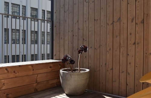 Te Aro House | Luxury townhouse in CBD