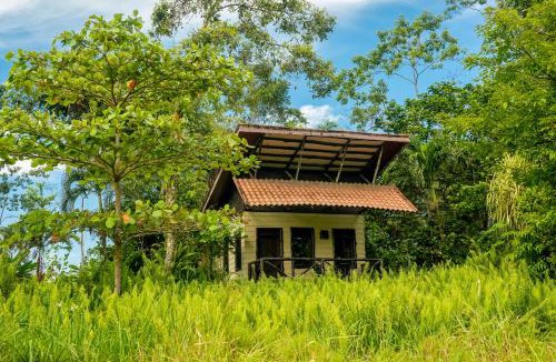 Chilamate Cabin | Maquenque Ecolodge