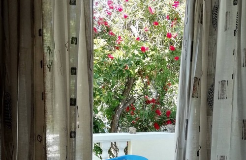 Drosia Apartment | Marietta Apartments Zakynthos