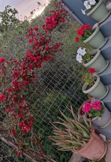 Kastelli House | Marilidia House