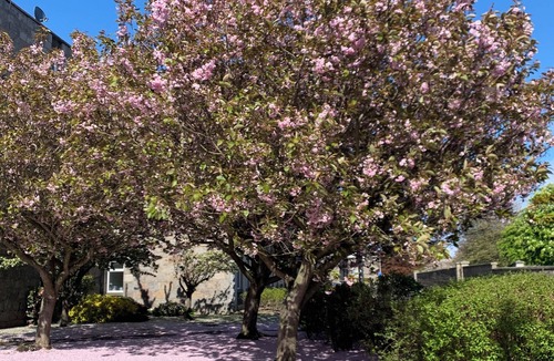 Central Aberdeen Apartment | Modern fully fitted two bedroom apartment. Pet friendly. Free parking. Sleeps 5.