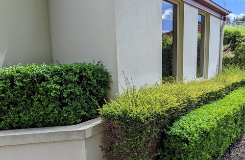 West Hobart Apartment | Modern studio walking distance to Hobart and Mt Knocklofty