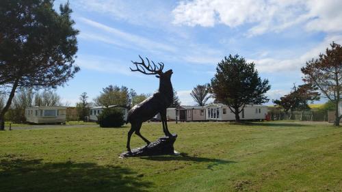 Cruden Bay Ski Chalet | Moselle 5