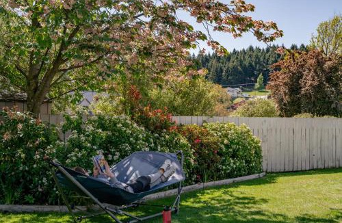 Wanaka Hostel | Mountain View Backpackers