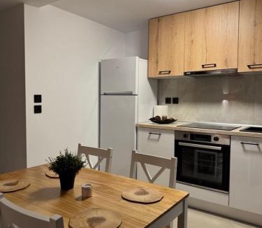 Nea Mesagkala Apartment | Nea Mesangala Apartment Family Aleksandrov