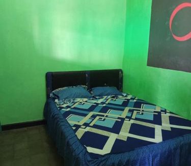 Kalipuro House | NEW OLIVIA Homestay