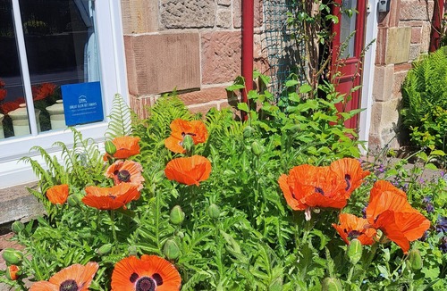 Fortrose Cottage | Newly renovated Character Cottage close to the beach
