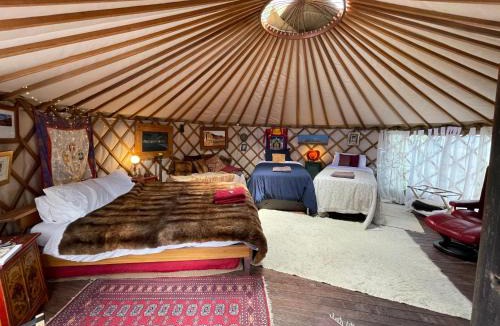 Kenepuru Head Other | Ngahere Hou Glamping
