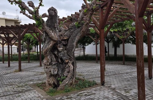 Agios Onoufrios House | NK Chrysorroa
