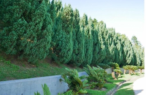 Putrajaya Condo | nnPresint 8 Putrajaya Nature Relax