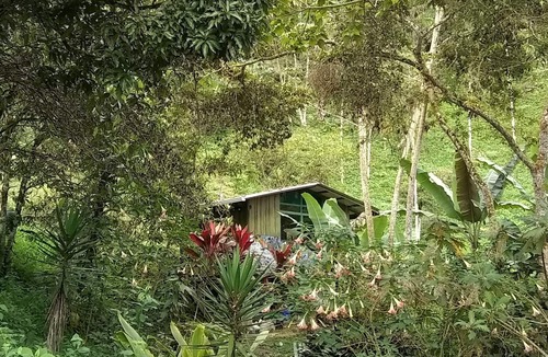 La Ese Cabin | No longer available