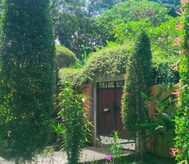 Pengosekan House | Oka House