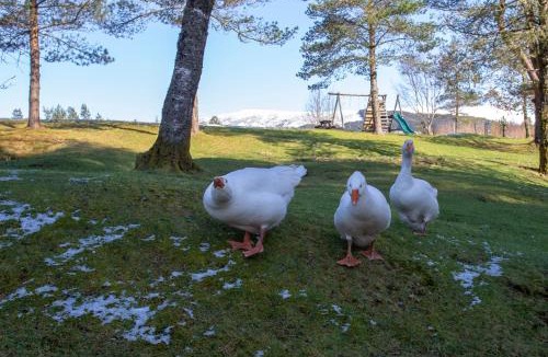 Spean Bridge Hotel | Old Pines Hotel And Restaurant