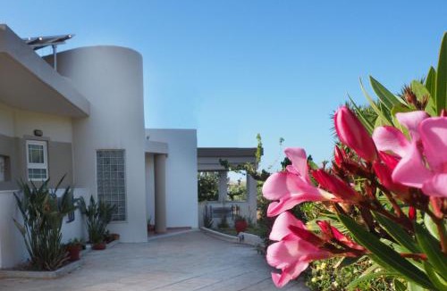 Malia House | Olive House