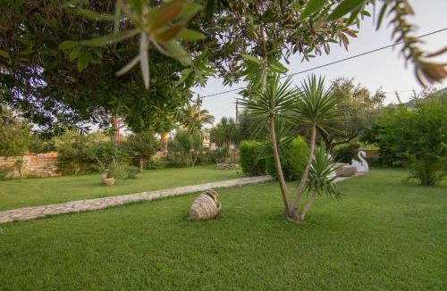 Pantokratoras Apartment | Olive Tree Apartment