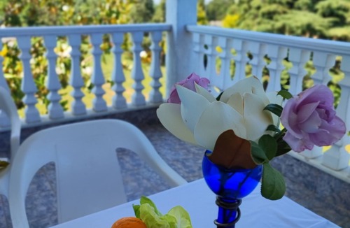 Dio-Olympos Villa | Olympus Mytikas Apartment