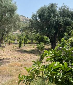Himare Villa | Orange Garden