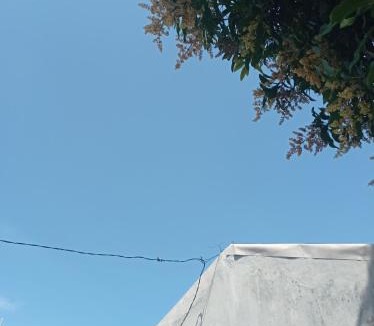 Banyuwangi Hostel | Ozan Hostel