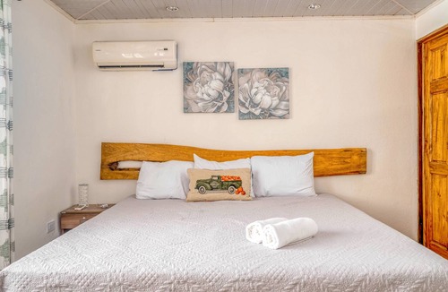 Garabito House | Palm-lined paradise with a pool, wood stove, & mountain views - dog-friendly