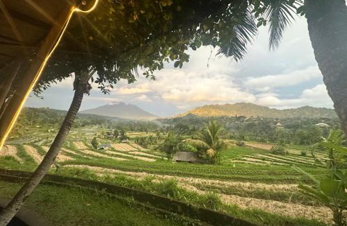 Wisma Kerta Hotel | Panorama Sidemen