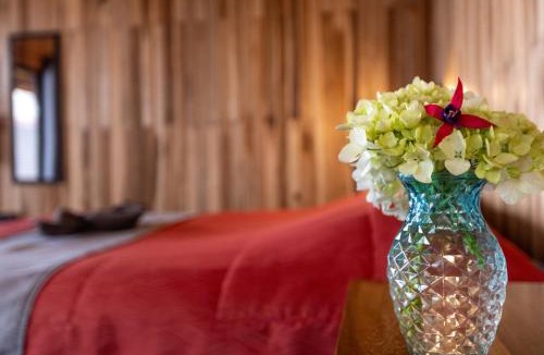 Copey Cabin | Paraíso Quetzal Lodge