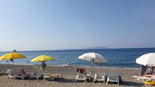 Patti Resort | Patti Beach Resort