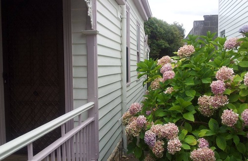 West Hobart Cottage | Peck's on Pine Victorian Cottage