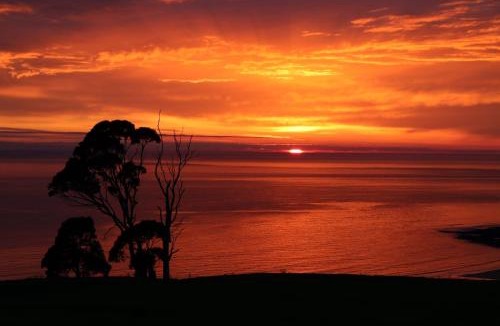 Central Coast Council House | Penguin Seaside Farm