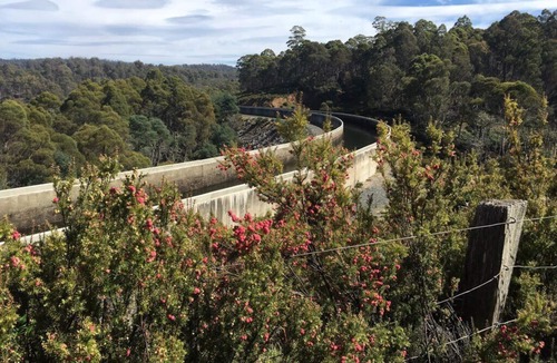 Bronte Park House | Perfect Bronte Park Retreat FREE WiFi