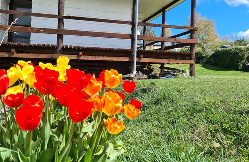 Naseby House | Perfect family holiday spot - 5 mins walk to all Naseby's attractions