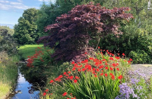 Dornoch Apartment | Pet-friendly luxury garden apartment surrounded by woodland and fields.